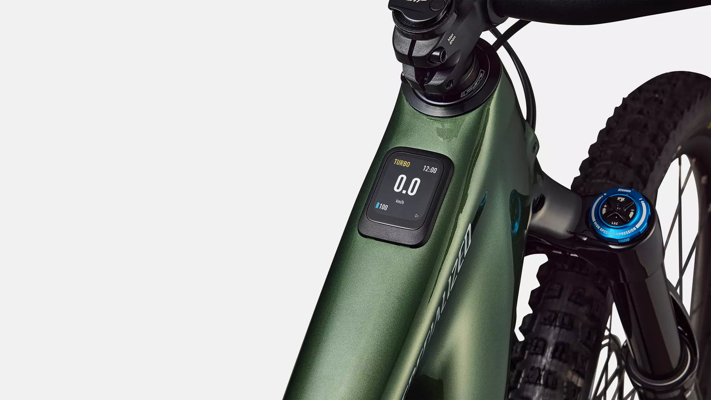 #color_Cypress_Green_Metallic