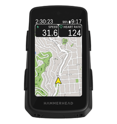 Karoo Hammerhead