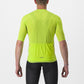 #color_ELECTRIC_LIME