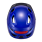 #color_Sapphire