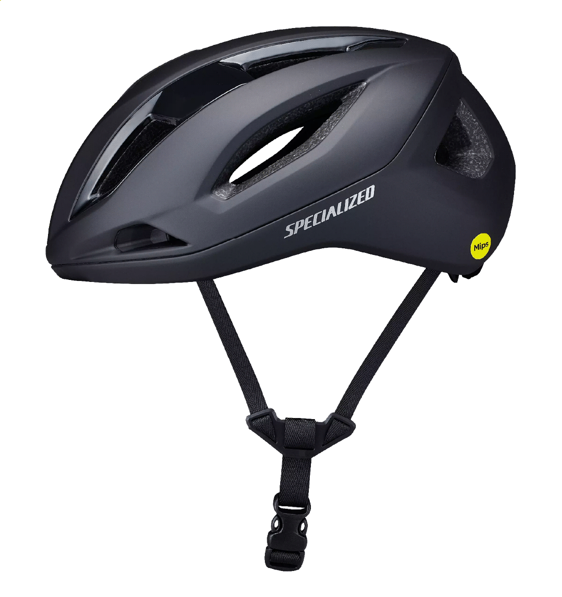CASCOS SEARCH